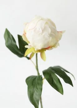 Afloral Artificial Flower Peony Bud In Cream - 18