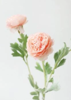 Afloral Artificial Flowers Ranunculus Fake Flowers In Pink - 19