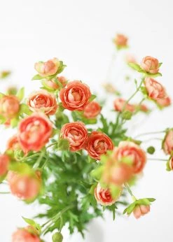 Afloral Silk Mini Ranunculus In Coral - 22