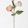Afloral Beige Faux Dried Roses With Bud - 21"