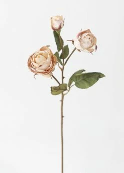 Afloral Beige Faux Dried Roses With Bud - 21"