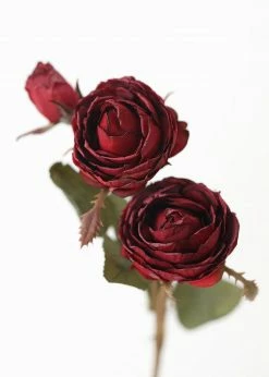 Afloral Burgundy Faux Dried Roses - 21"