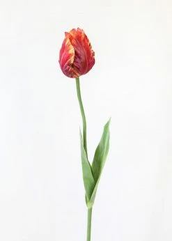 Afloral Artificial Flowers Tie Dye Red Artificial Parrot Tulip - 25"