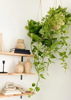 Afloral Artificial Plants Natural Touch Pothos Artificial Plant - 48