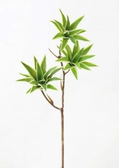 Afloral Variegated Fake Dracaena Succulent - 30" Artificial Plants