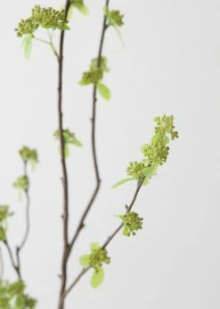 Afloral Artificial Branch With Green Buds - 40"