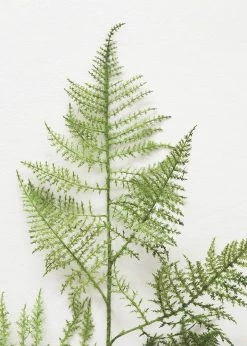 Afloral Fake Asparagus Fern Leaves - 45" Artificial Plants