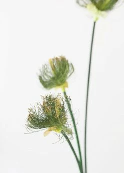 Afloral Artificial Plants Artificial Grasses Papyrus Reed Bundle - 32.5"