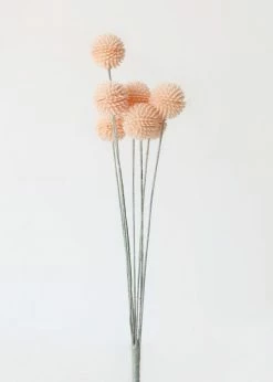 Afloral Artificial Craspedia Billy Buttons In Pink - 21"