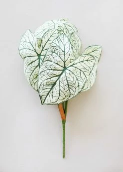 Afloral Variegated Tropical Caladium Fake Leaf Plant - 23"