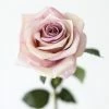 Afloral Smoky Lavender Fake Rose - 21.5" Artificial Flowers