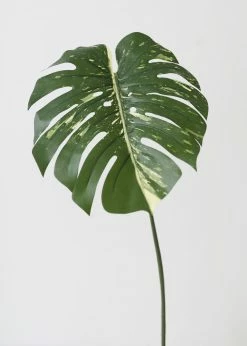 Afloral Artificial Philodendron Tropical Leaf - 23.5" Artificial Plants