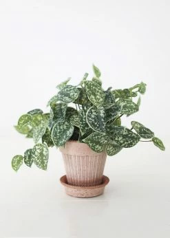 Afloral Artificial Satin Pothos House Plant - 9"