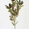 Afloral Artificial Wild Protea Foliage - 26.25" Artificial Plants