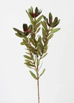 Afloral Artificial Wild Protea Foliage - 26.25" Artificial Plants