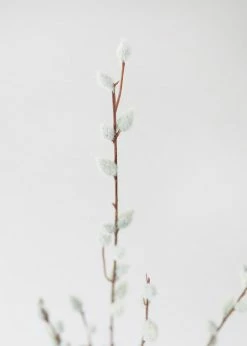 Afloral Artificial Flowers Artificial Pussy Willow Branch - 31"