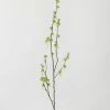 Afloral Artificial Branch With Green Buds - 40"