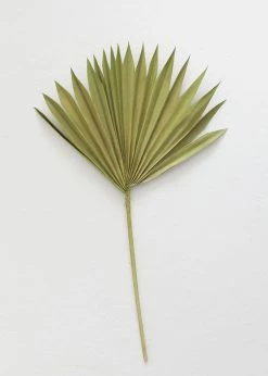 Bundle Of 5 Afloral Green Sun Palms - 14-20