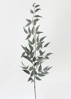 Afloral Artificial Plants Artificial Italian Ruscus Leaf Branch - 36"