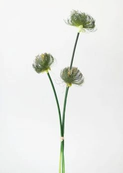 Afloral Artificial Plants Artificial Grasses Papyrus Reed Bundle - 32.5"