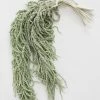 Afloral Green Preserved Amaranthus Hanging Flowers - 32-40" Dried Flowers