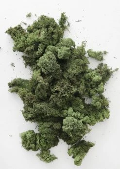 Afloral Dried Flowers Natural Green Preserved Reindeer Moss - 1 Lb