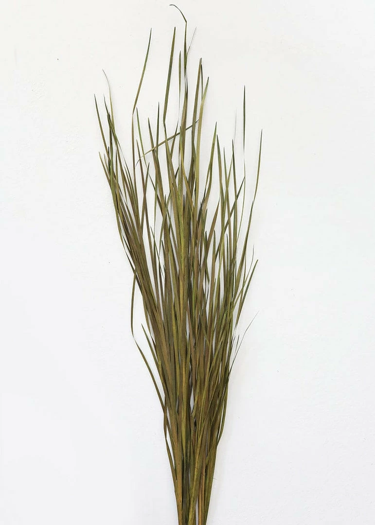 Afloral Preserved Green Wild Grass - 45-55"