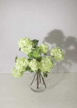 Afloral Vases Round Glass Bud Vase - 5.75"