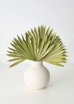 Bundle Of 5 Afloral Green Sun Palms - 14-20