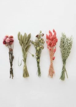 Afloral Dried Floral Hoop Styling Kit - 2 Hoops Dried Flowers