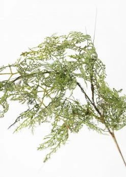 Afloral.com Artificial Plants Artificial Baby's Tears Fern Branch - 36