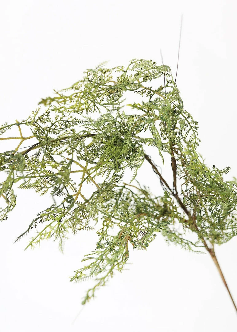 Afloral.com Artificial Plants Artificial Baby's Tears Fern Branch - 36"