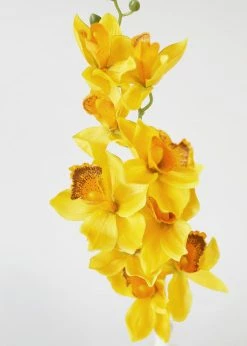 Afloral Silk Cymbidium Orchid In Golden Yellow - 30