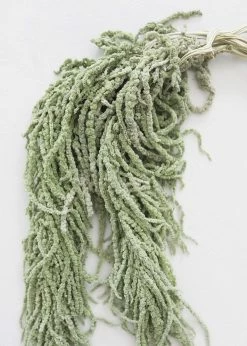 Afloral Green Preserved Amaranthus Hanging Flowers - 32-40