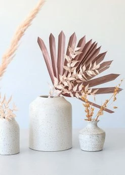 Afloral.com Bundle Of 5 Afloral Desert Pink Sun Palms - 18-24"