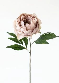 Afloral Silk Peony In Taupe Mauve - 18
