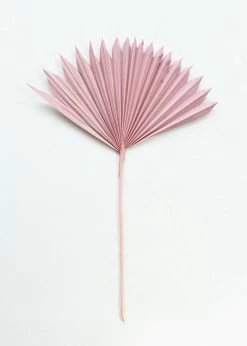 Afloral.com Bundle Of 5 Afloral Desert Pink Sun Palms - 18-24