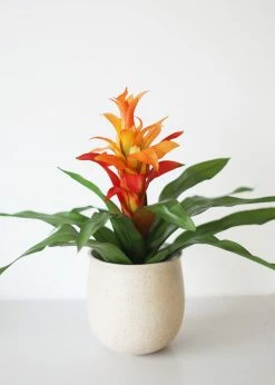Afloral Artificial Indoor/Outdoor Bromeliad Plant - 21