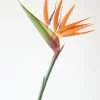 Afloral Large Artificial Bird Of Paradise - 36"