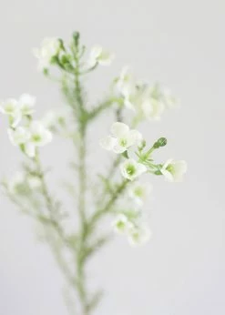 Afloral Artificial Flowers White Fake Waxflower Filler Flowers - 26"