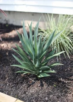 Afloral Artificial Tropical Yucca Plant - 28" Artificial Plants