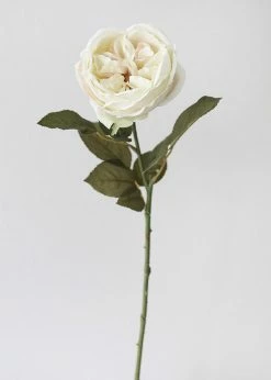 Afloral Eggshell Cream English Cabbage Rose - 25" Artificial Flowers