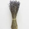 Afloral Dried Fragrant Lavender Bundle - 6-14" Dried Flowers