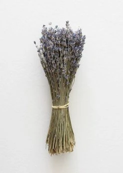 Afloral Dried Fragrant Lavender Bundle - 6-14" Dried Flowers
