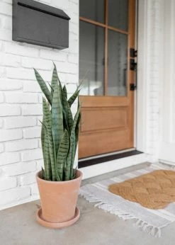 Afloral Large Terra Cotta Pot With Drainage - 9.5"