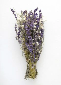 Afloral Larkspur And Daisy Dried Bouquet - 14-18" Dried Flowers