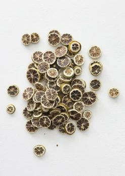 Afloral Bag Of 80 Fragrant Dried Green Lemon Slices - 1-2" Dried Flowers