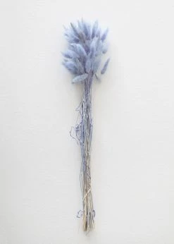 Afloral Light Blue Dried Bunny Tails - 18-28