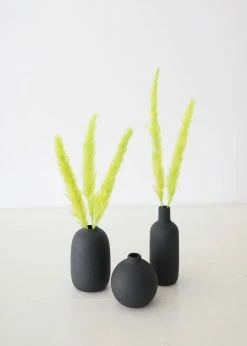 Afloral Chartreuse Dried Pampas Grass - 25-28