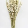 Afloral Cream Dried Larkspur Wildflowers - 23-26" Dried Flowers
